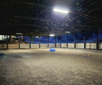 Linda's Private Arena for Dogs
