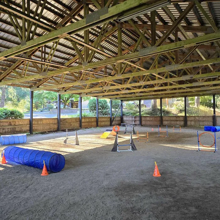 Linda's Private Arena for Dogs 10