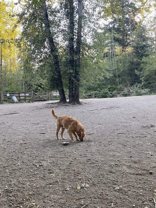 Tambark Creek Off-Leash Dog Park 3