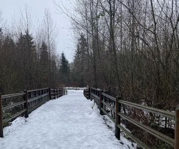 Tambark Creek Off-Leash Dog Park