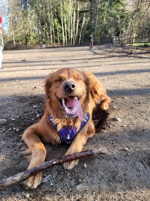 Tambark Creek Off-Leash Dog Park 10