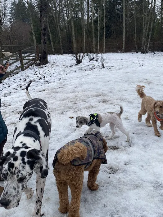 Tambark Creek Off-Leash Dog Park 5