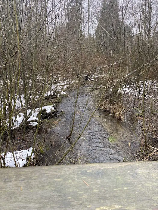 Tambark Creek Off-Leash Dog Park 6