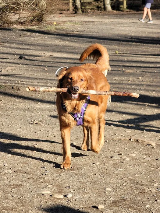 Tambark Creek Off-Leash Dog Park 7