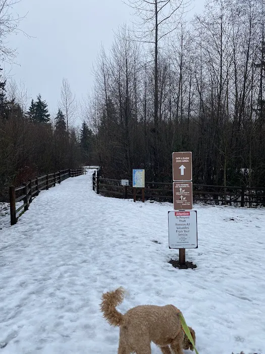 Tambark Creek Off-Leash Dog Park 4