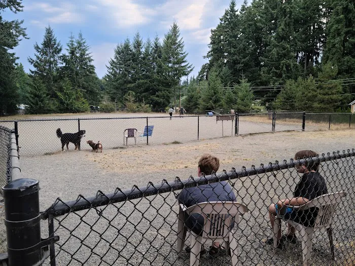 Lynndale Off-leash Dog Area 6