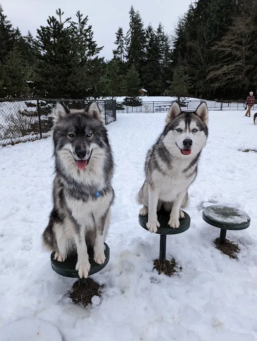 Lynndale Off-leash Dog Area 4