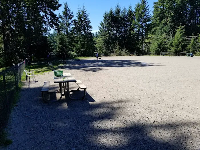 Lynndale Off-leash Dog Area 7