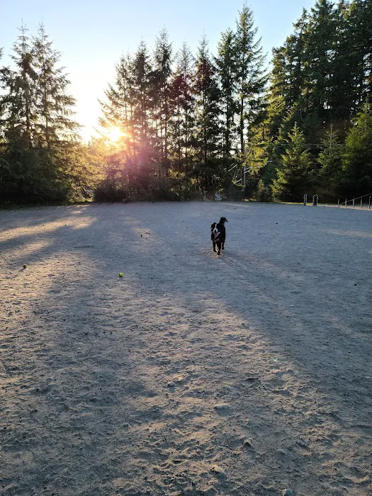 Lynndale Off-leash Dog Area 8