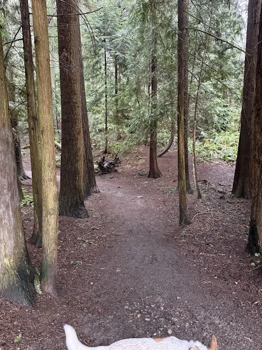 Lynndale Off-leash Dog Area 10