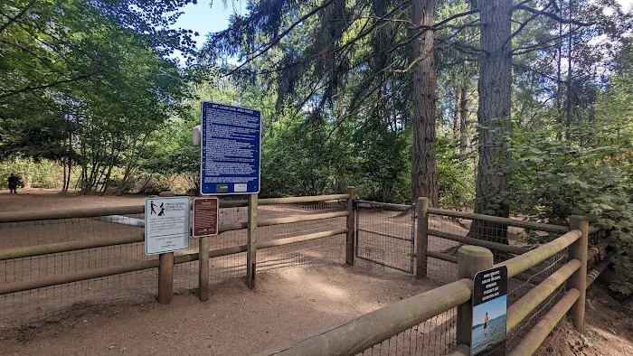 Lake Stickney Off-Leash Dog Park 3