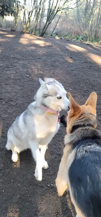Lake Stickney Off-Leash Dog Park 1