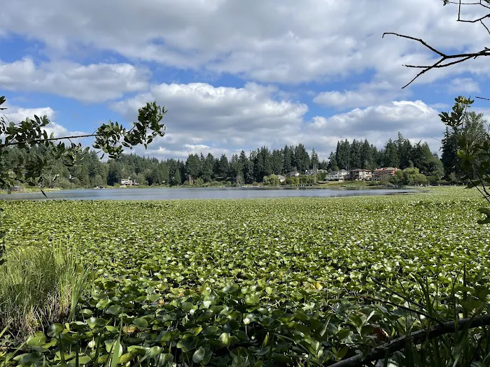 Lake Stickney Off-Leash Dog Park 8