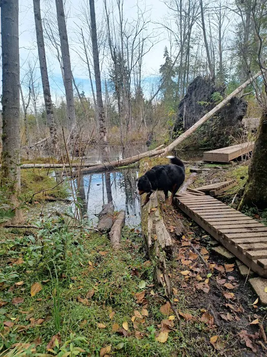 Loganberry Lane Dog Park Entrance 4