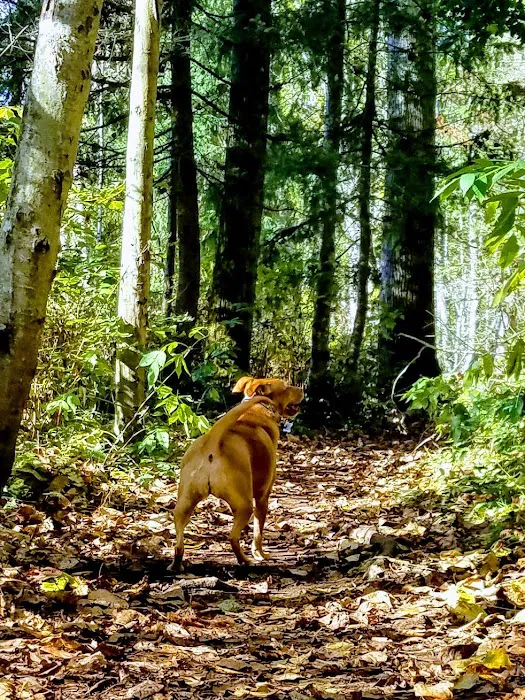 Loganberry Lane Dog Park Entrance 5