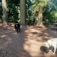 Loganberry Lane Dog Park Entrance ico