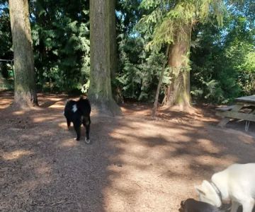Loganberry Lane Dog Park Entrance
