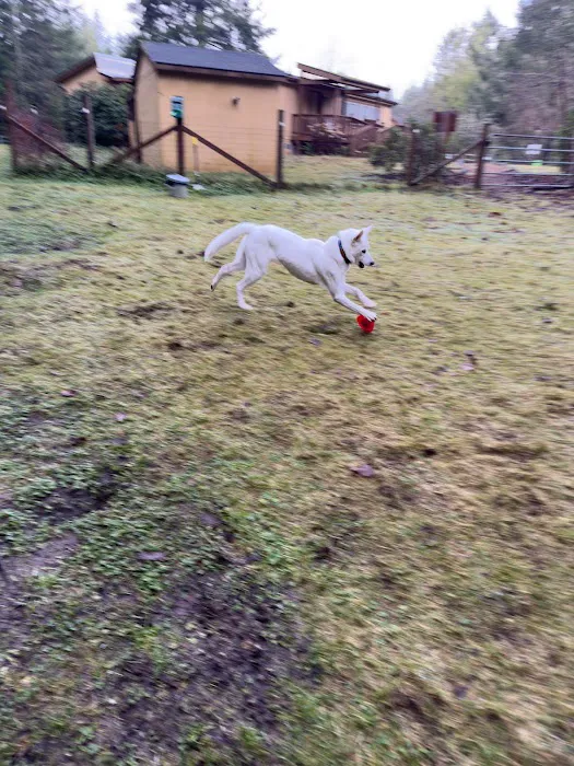 Tolt Tail-Waggin Sniffspot - Private Dog Park rental 2