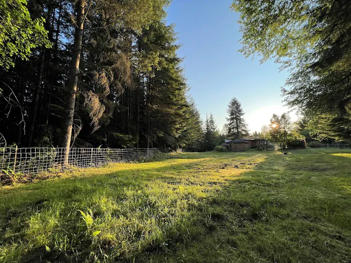 Tolt Tail-Waggin Sniffspot - Private Dog Park rental 3