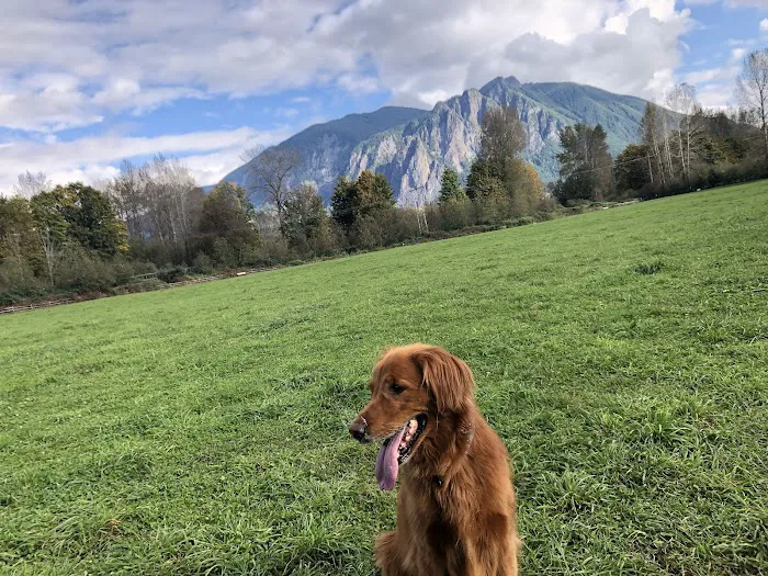 Three Forks Off-Leash Dog Park 4