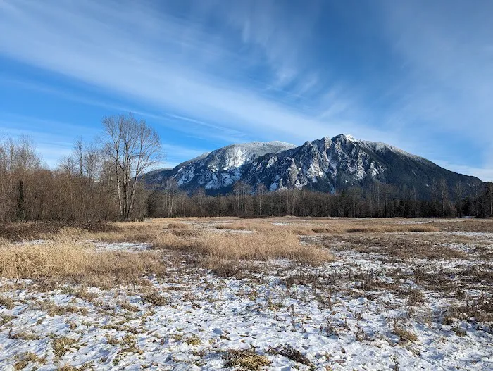 Three Forks Off-Leash Dog Park 8