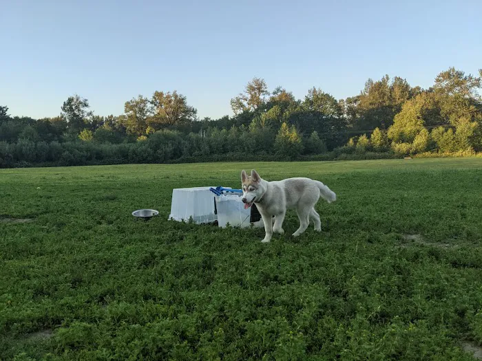 Three Forks Off-Leash Dog Park 6