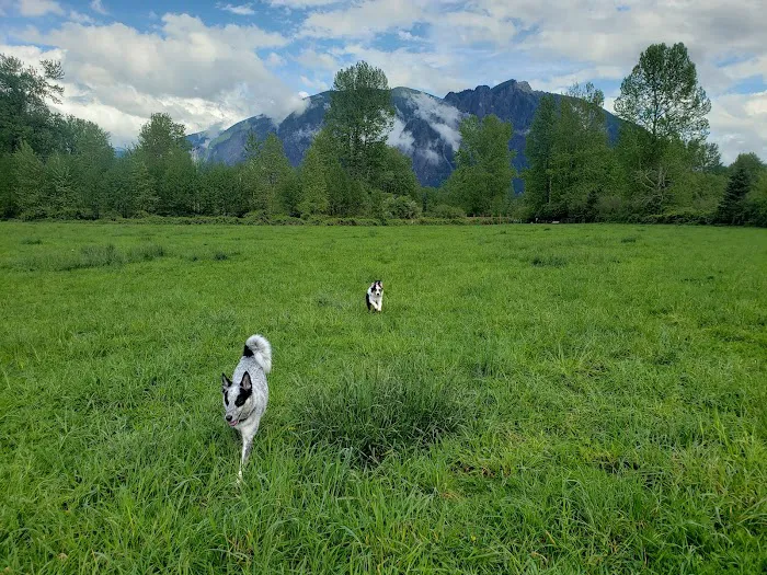 Three Forks Off-Leash Dog Park 2