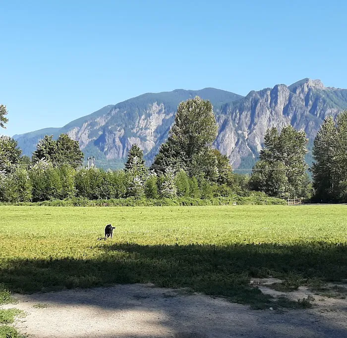 Three Forks Off-Leash Dog Park 1