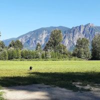 Three Forks Off-Leash Dog Park ico