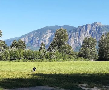 Three Forks Off-Leash Dog Park
