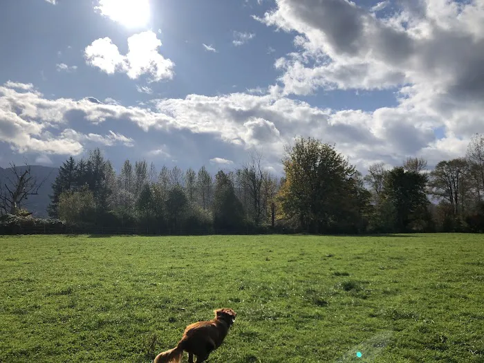 Three Forks Off-Leash Dog Park 3