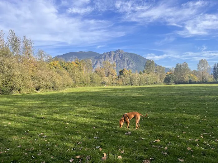 Three Forks Off-Leash Dog Park 9