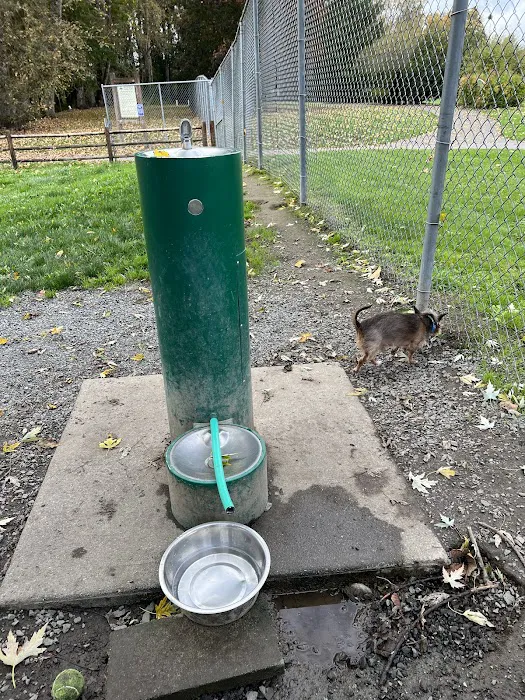 Wiggly Field Dog Park 9