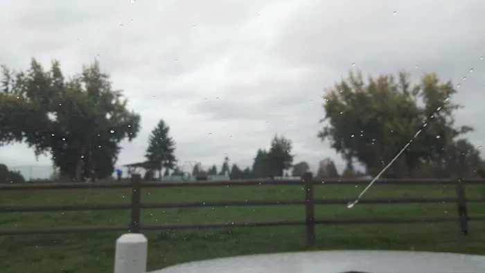 Wiggly Field Dog Park 5