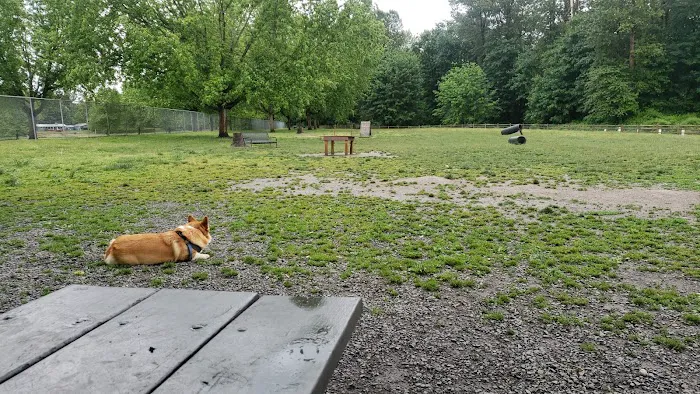 Wiggly Field Dog Park 3