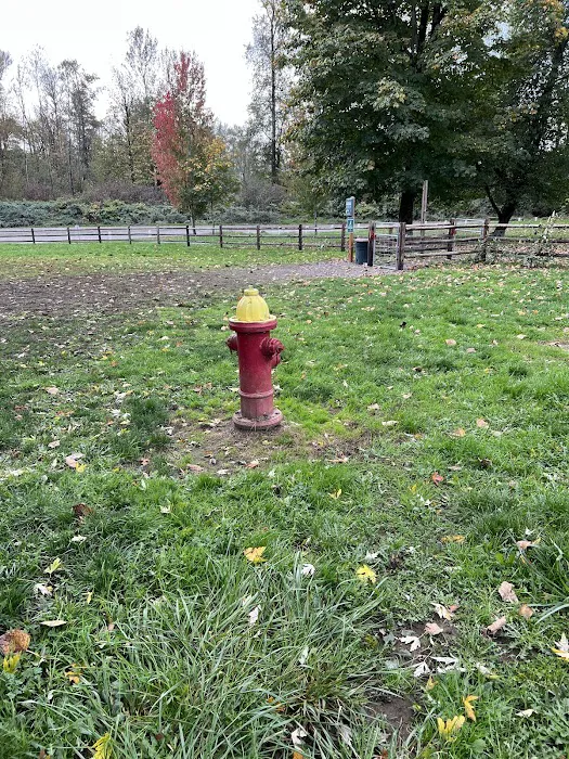 Wiggly Field Dog Park 6