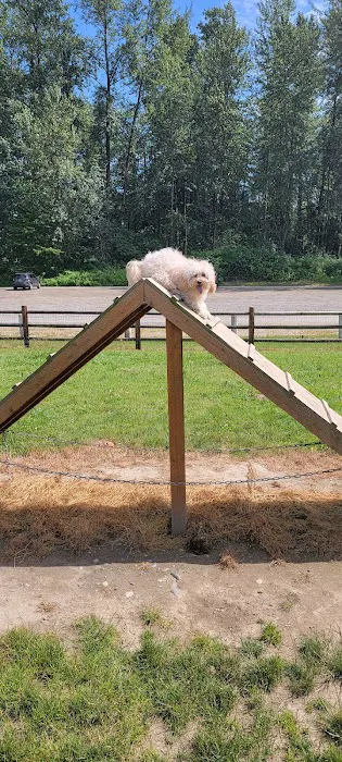 Wiggly Field Dog Park 4