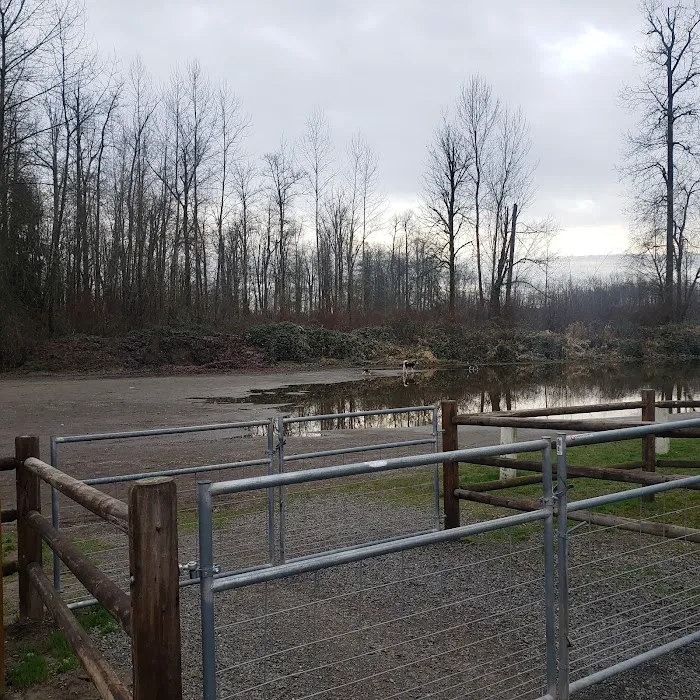Wiggly Field Dog Park 8