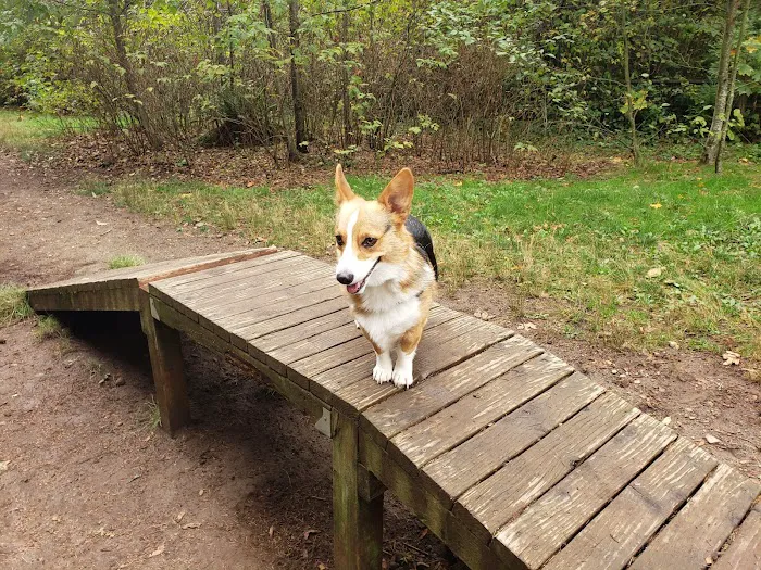 Willis Tucker Off-Leash Dog Area 7