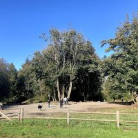 Willis Tucker Off-Leash Dog Area ico