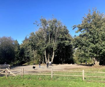 Willis Tucker Off-Leash Dog Area