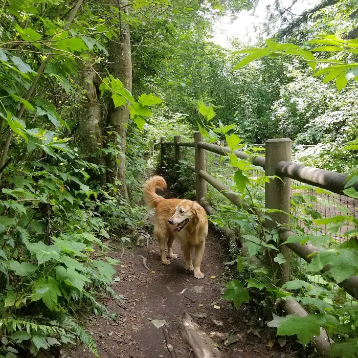 Willis Tucker Off-Leash Dog Area 6