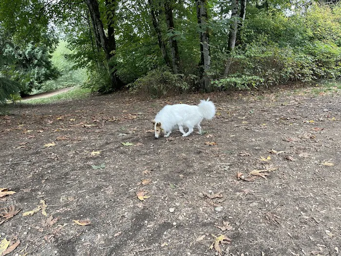 Willis Tucker Off-Leash Dog Area 9