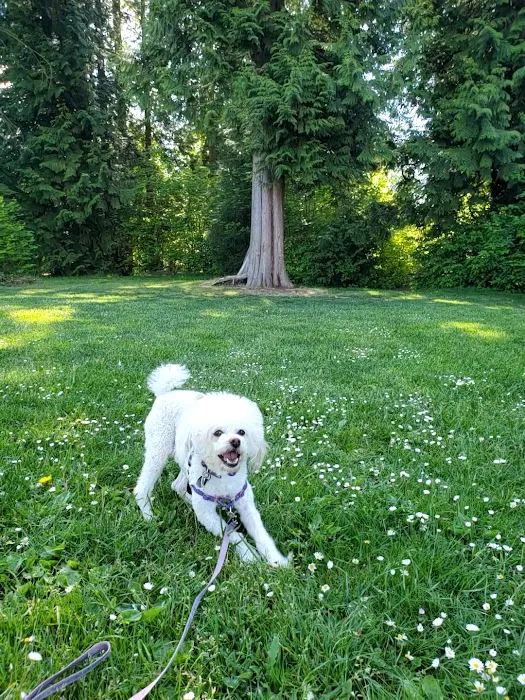 Willis Tucker Off-Leash Dog Area 5