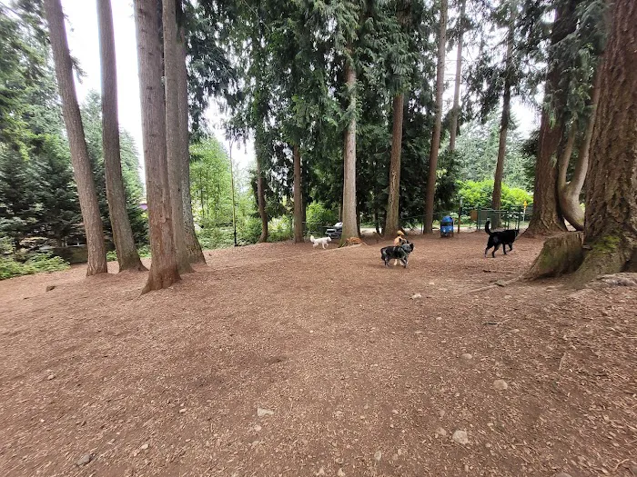 Viking Park, Off-leash Dog Park 2