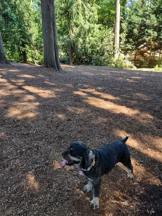 Viking Park, Off-leash Dog Park 7