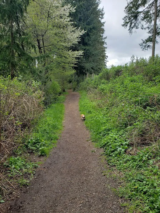 Viking Park, Off-leash Dog Park 6