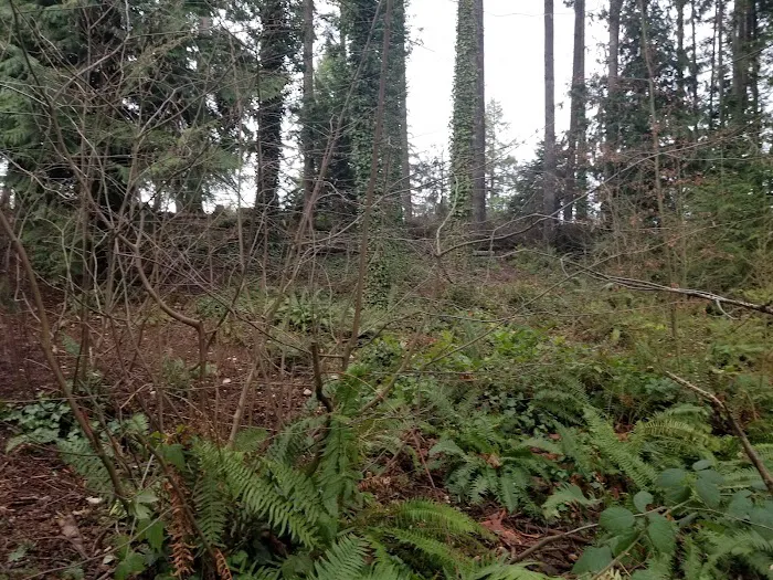 Viking Park, Off-leash Dog Park 4