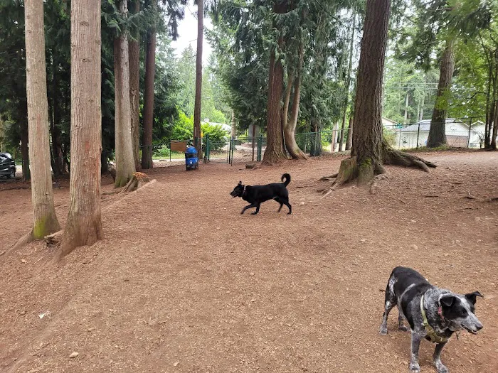 Viking Park, Off-leash Dog Park 3