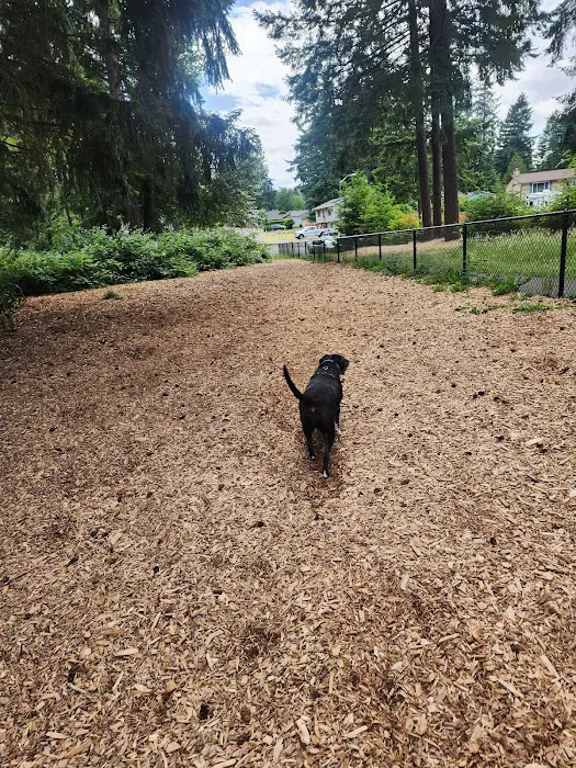 Rainier Woods Off-Leash Dog Park 10